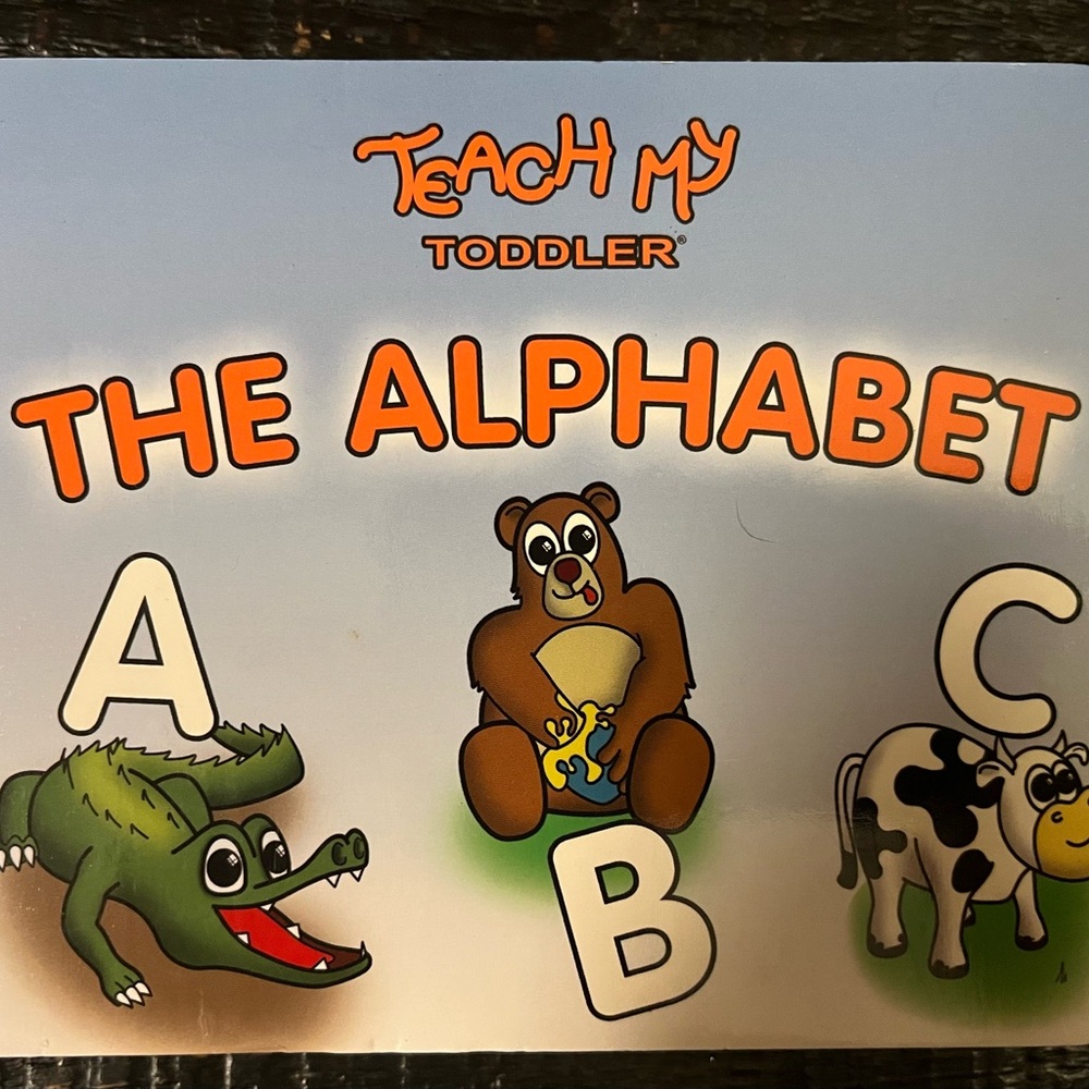 Toddler Alphabet Learning Book- Multicolor